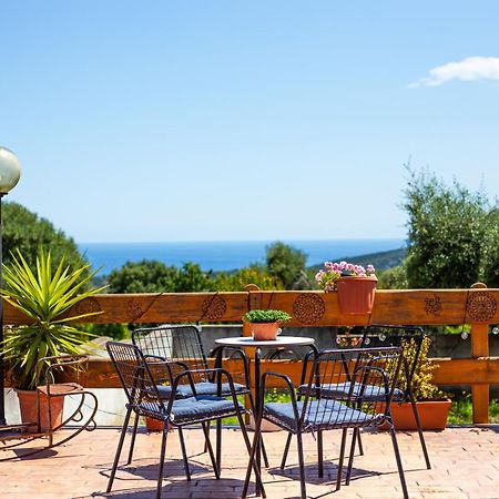 Agriturismo Paulesa ドルガーリ エクステリア 写真