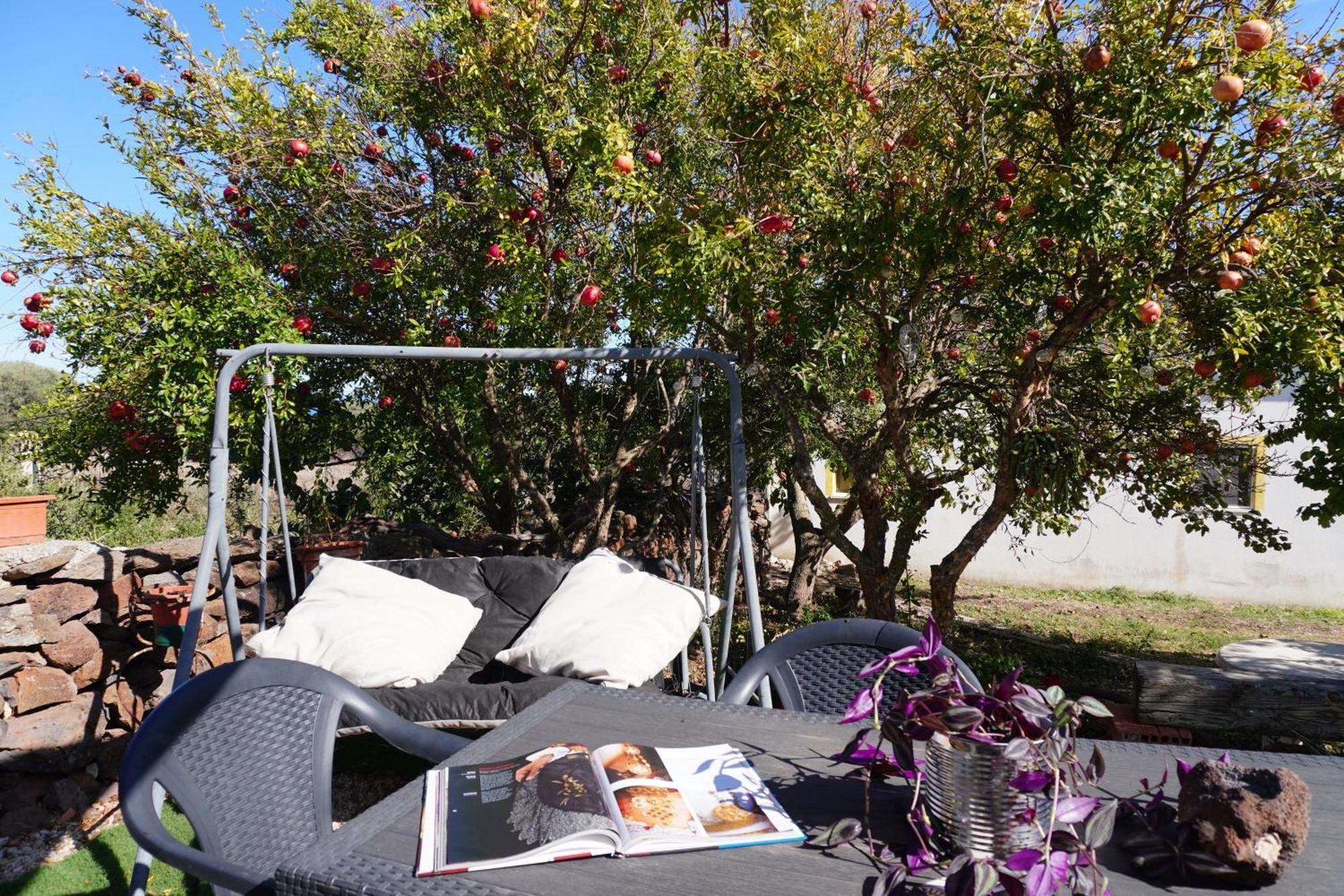 Agriturismo Paulesa ドルガーリ エクステリア 写真