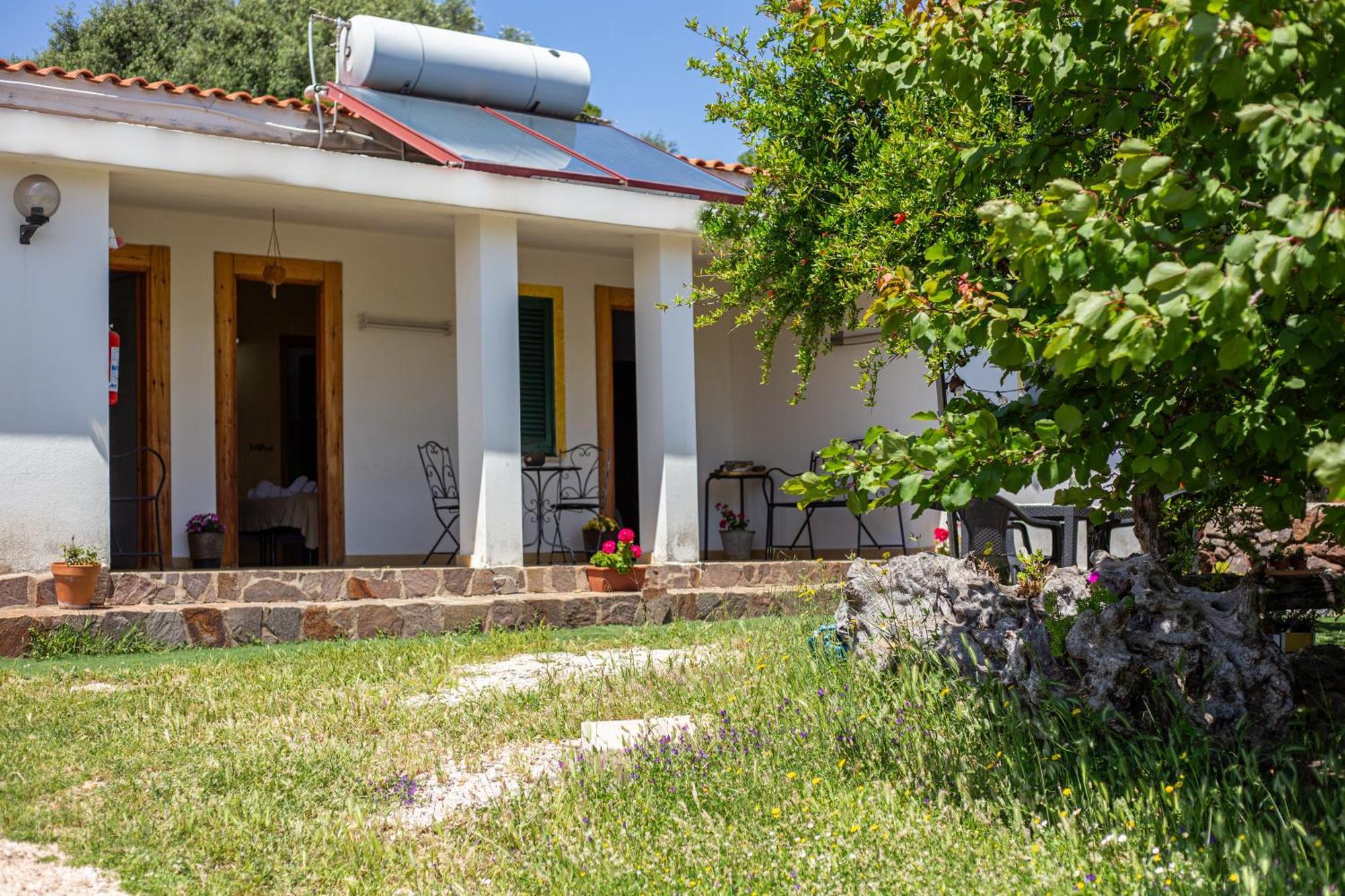 Agriturismo Paulesa ドルガーリ エクステリア 写真